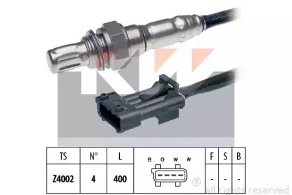 kw-497403