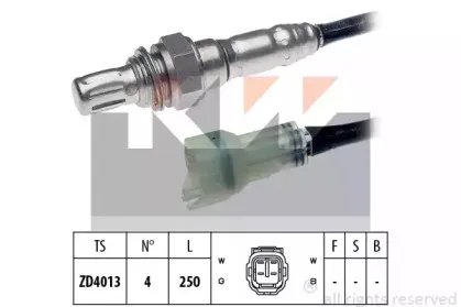 kw-497484