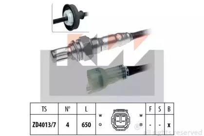 kw-497487