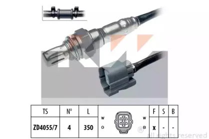 kw-497495
