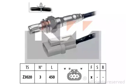 kw-497550