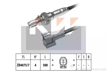 kw-497565