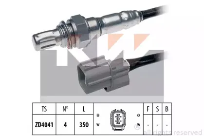 kw-497572