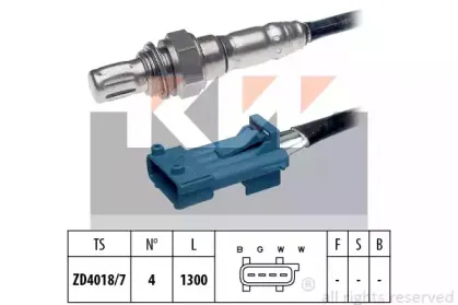 kw-497591