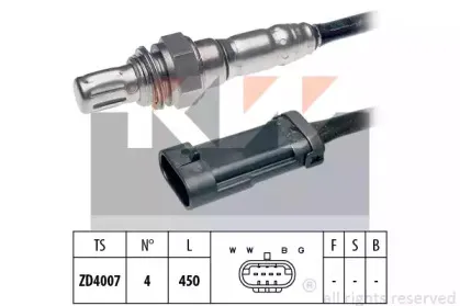 kw-497594