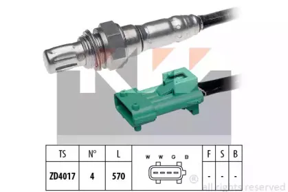 kw-497597