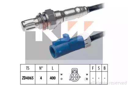 kw-497607