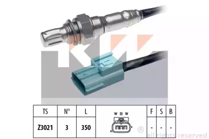 kw-497624