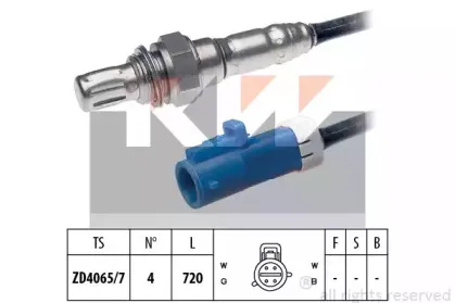 kw-497678