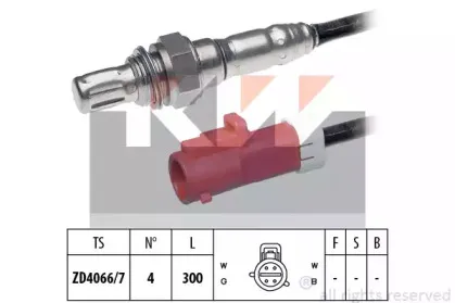 kw-497687