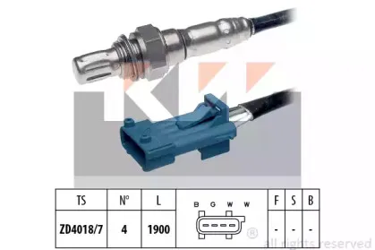 kw-497688