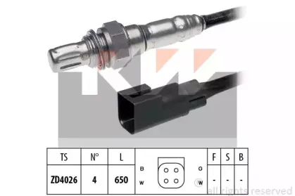 kw-497704