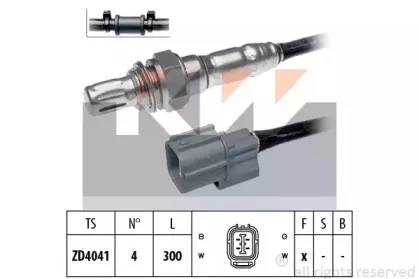 kw-497725