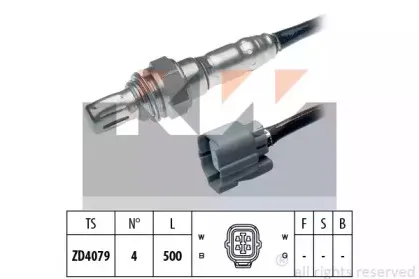 kw-497748