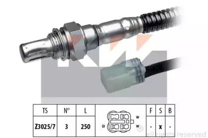 kw-497787