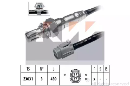 kw-497866