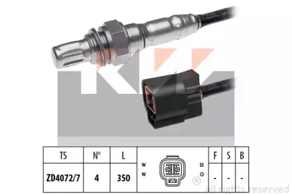 kw-497887