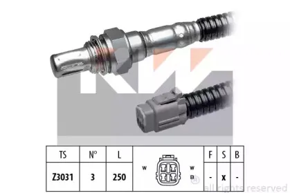kw-497909