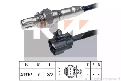kw-497912