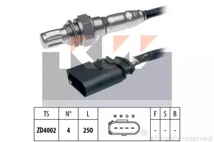 kw-497920