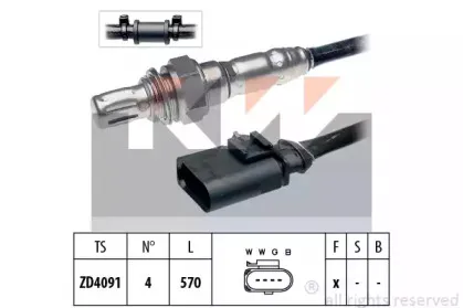 kw-497931