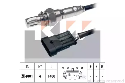kw-497943