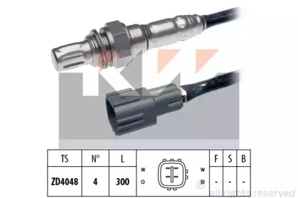 kw-497961