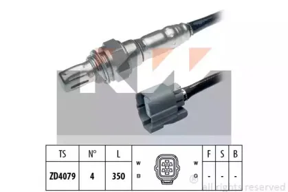 kw-497995