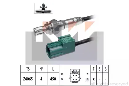 kw-498002