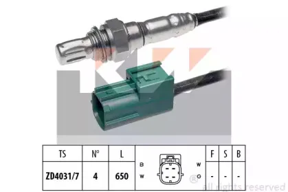kw-498008
