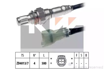 kw-498037
