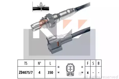 kw-498091