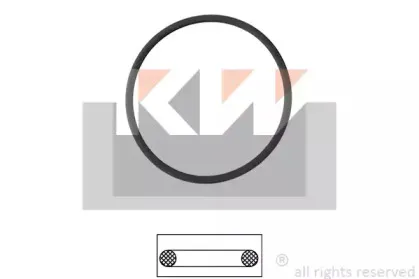 kw-590550