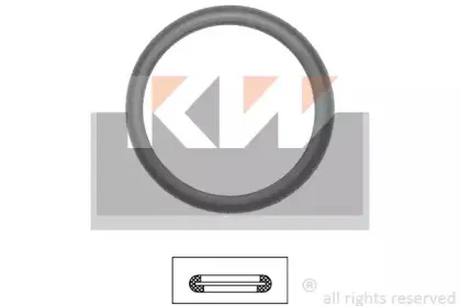 kw-590598