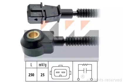 kw-457205