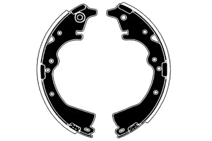 raicam-ra25290