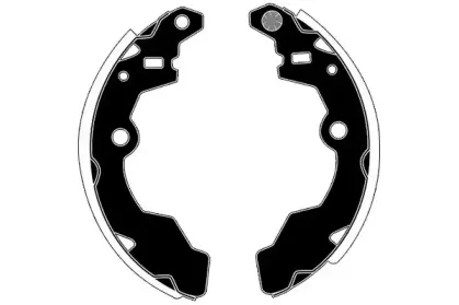 raicam-ra26310