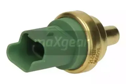 210137 MAXGEAR