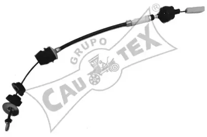 cautex-038253