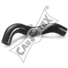 cautex-016201