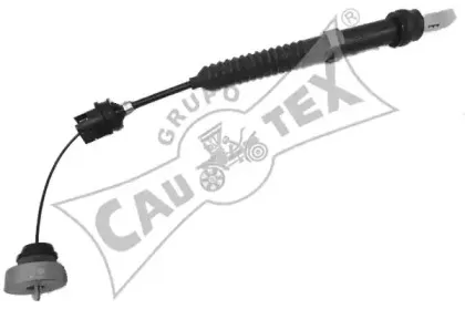 cautex-038451