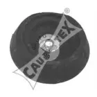 cautex-480519