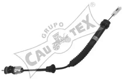 cautex-038401