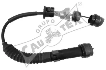 cautex-038458