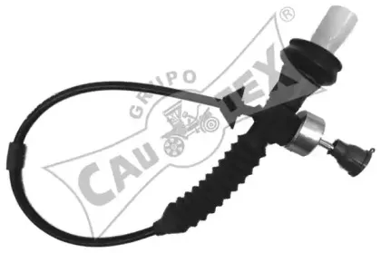cautex-038318