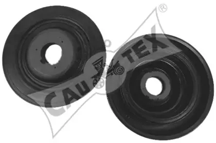 cautex-081244
