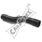 cautex-016339