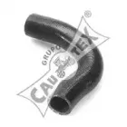 cautex-206002