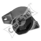 cautex-461148