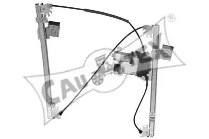 cautex-467181